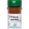 Foelie gemalen